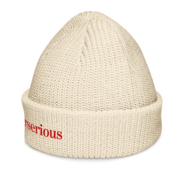 the beanie - Image 2